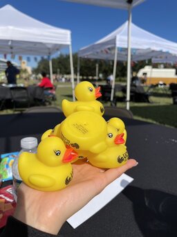 UCF duck
